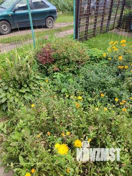 Дом 60м², 2-этажный, участок 7 сот.