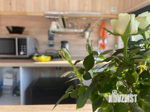 Дом 25м², 1-этажный, посуточно, 