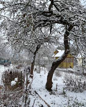 Дом 23м², 1-этажный, участок 7 сот.  