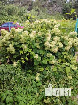 Дом 60м&sup2;, 2-этажный, участок 7 сот.  