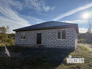 Дом 115м&sup2;, 1-этажный, участок 10 сот.  