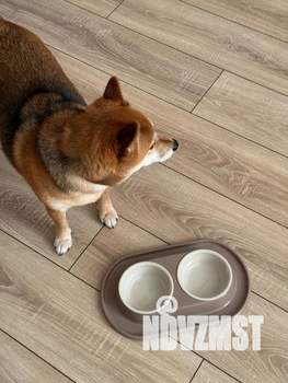 Студия квартира, посуточно, 25м2, 1/12 этаж