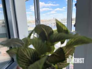 1-к квартира, посуточно, 38м2, 5/7 этаж