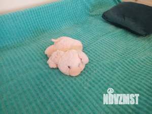 1-к квартира, посуточно, 32м2, 1/4 этаж