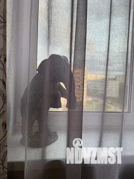 2-к квартира, посуточно, 80м2, 6/10 этаж