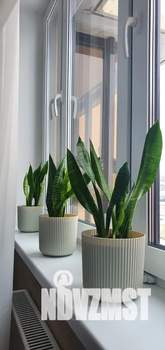 Студия квартира, посуточно, 35м2, 4/10 этаж