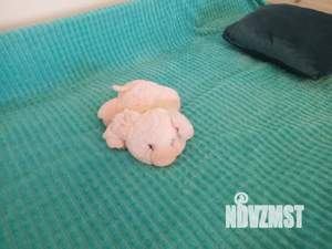 1-к квартира, посуточно, 32м2, 1/4 этаж